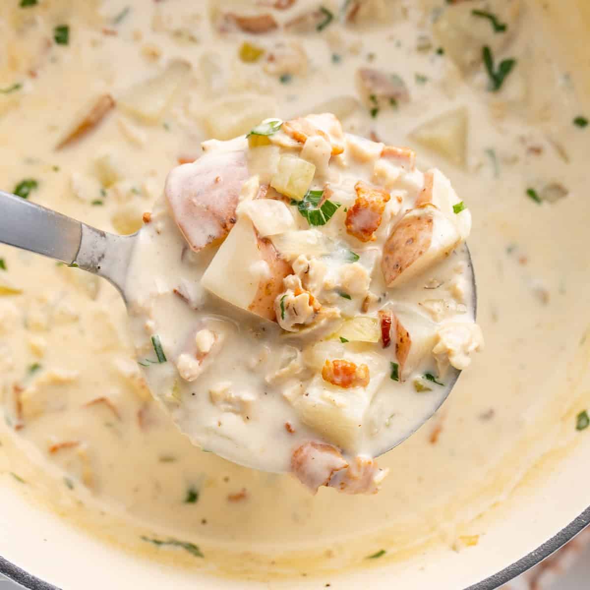 summer soup ideas